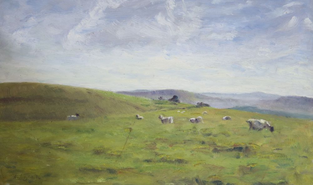 Neil Tyler (1945-), oil on board, Sheep in landscape, a coastal sketch verso, signed and dated 94, 31 x 48cm, unframed